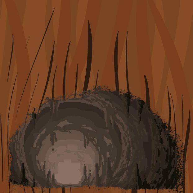 Stage Background Texture